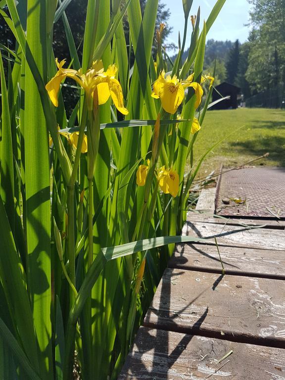 Ferienpension Garni Hubert Rigelnik Sankt Kanzian am Klopeiner See Екстериор снимка